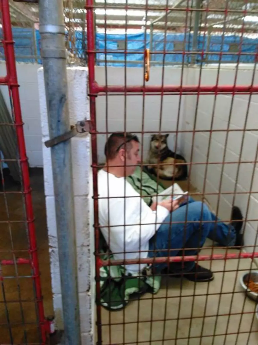 photo courtesy of Lawton Animal Welfare