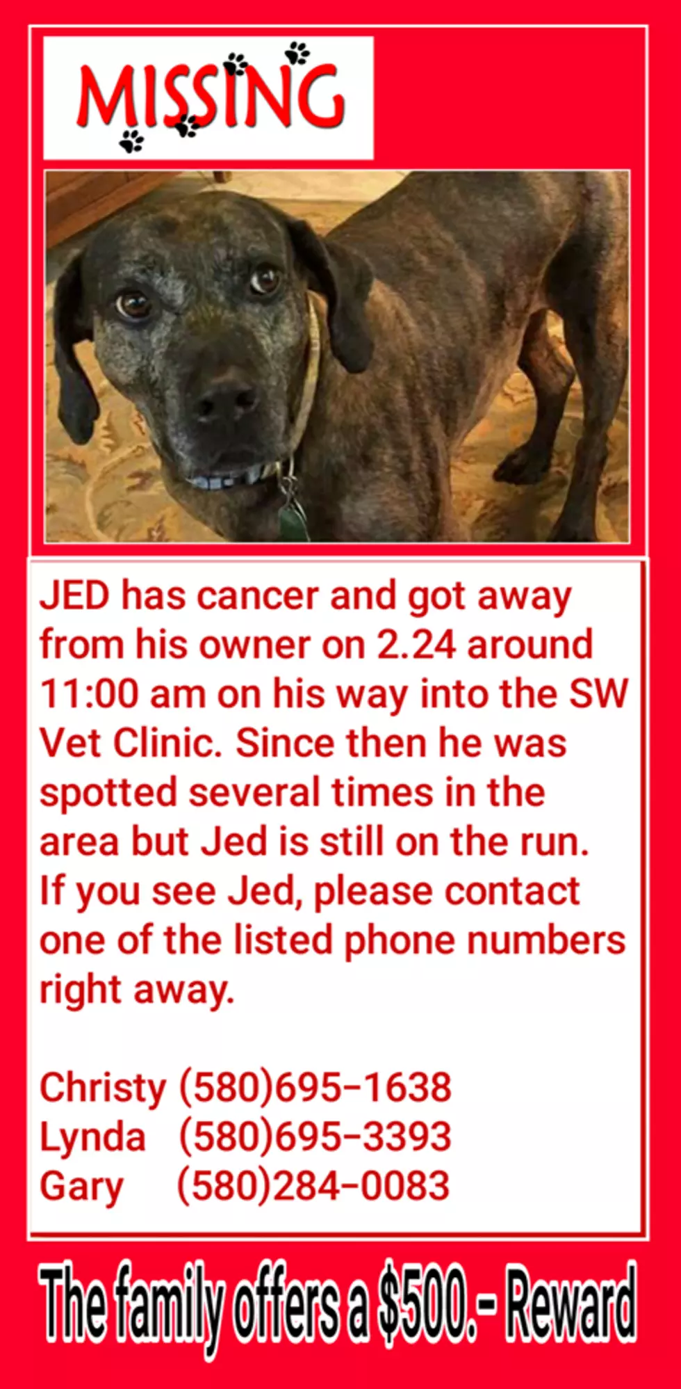 photo courtesy of Elgin Animal Shelter