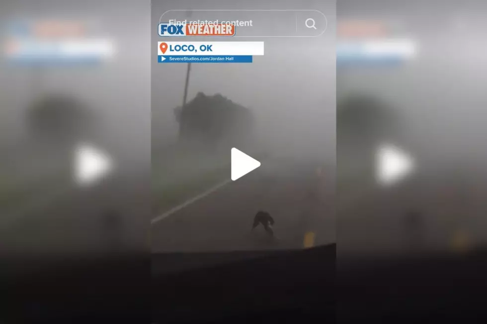 Storm Chasers Save Dog From Tornado in Loco, Oklahoma