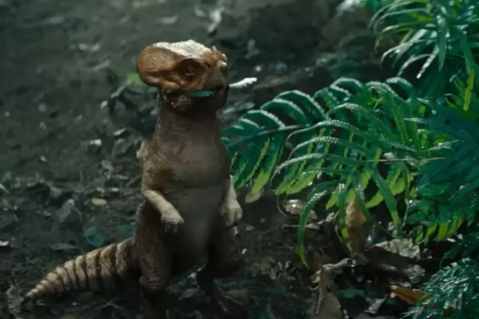 Meet Delores, The Sweet Dinosaur From ‘Jurassic World: Rebirth’