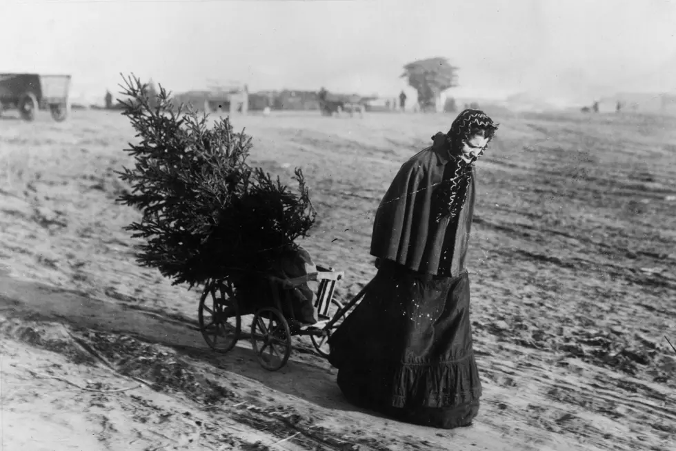 What Trees Did Early Oklahoma Settlers Use For Christmas?