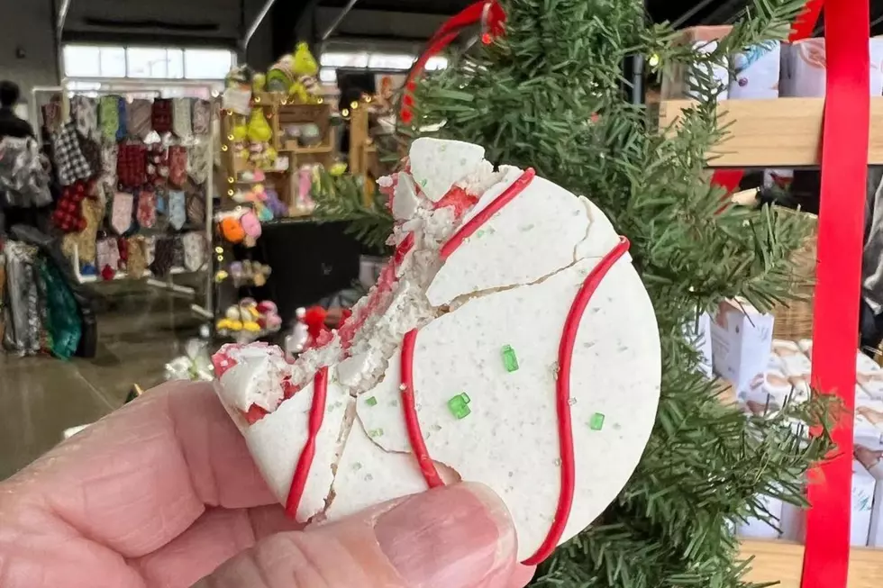 Get Ready For A Magical Holiday Evening At The Lawton Farmers Market