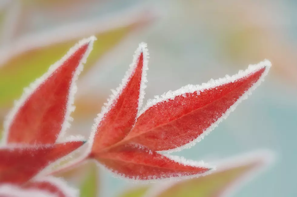 Farmer’s Almanac Predicts First Frosts for 2024 Across Oklahoma