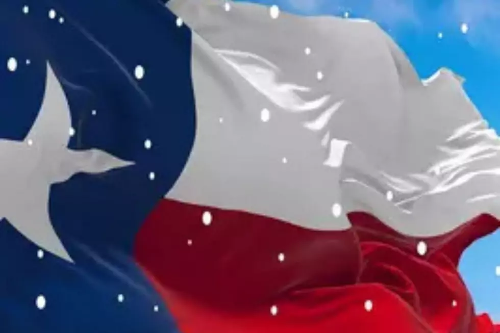 Bundle Up Buttercups Snow Is Headed To The Great State of Texas